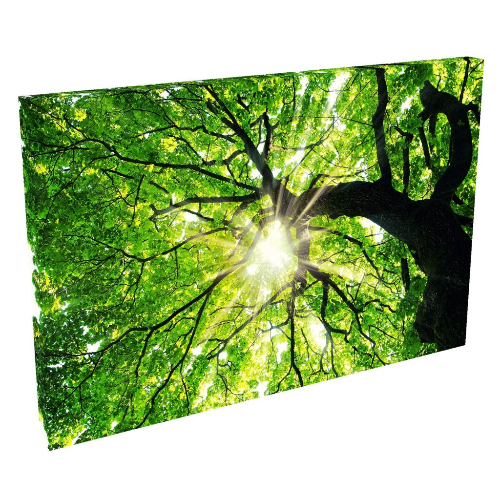 Quadro Decorativo Grande em Tela com Borda Infinita