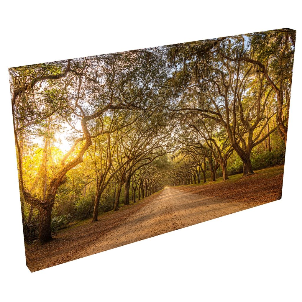 Quadro Decorativo Grande em Tela com Borda Infinita Túnel Verde