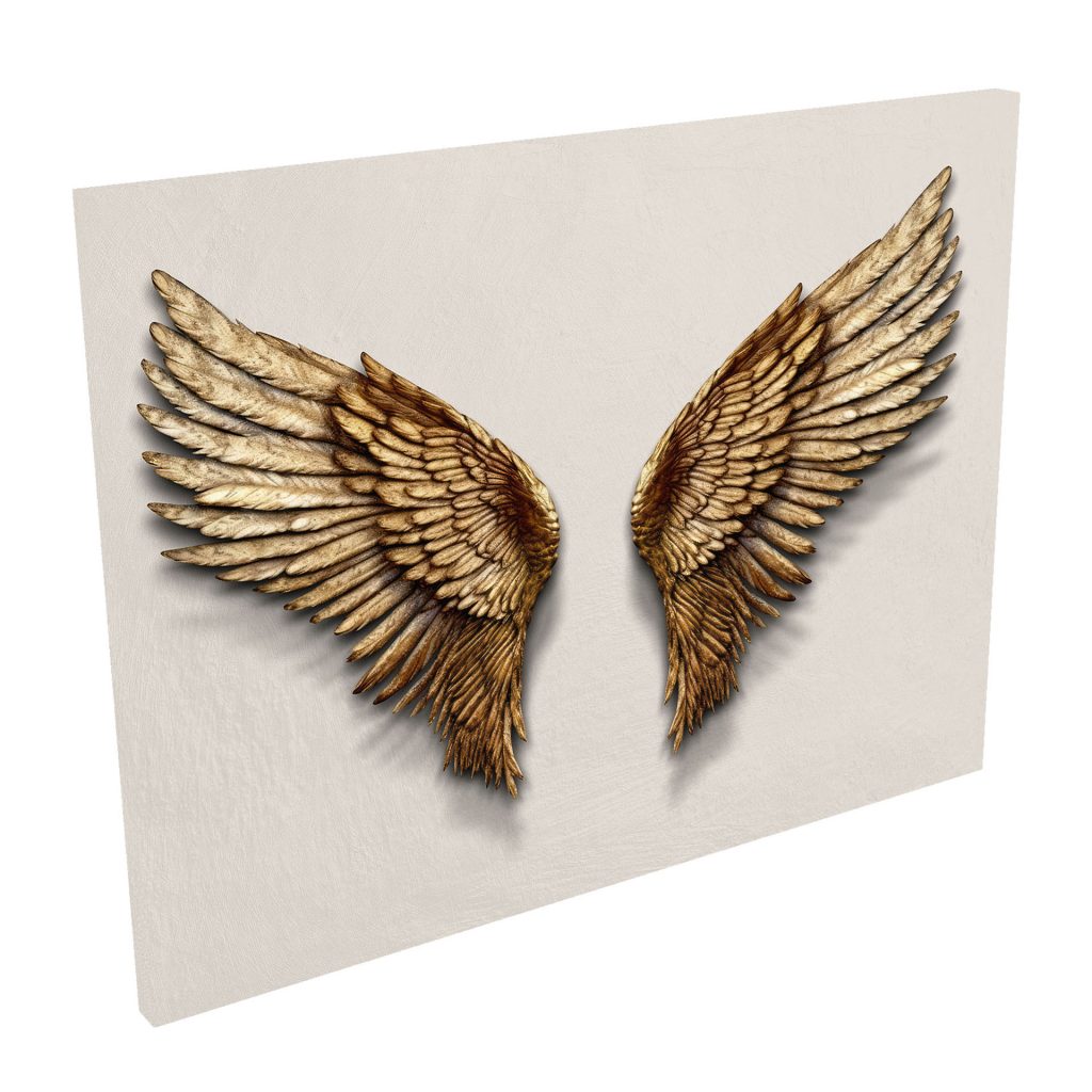 Quadro Decorativo Exclusivo Gauer Asas