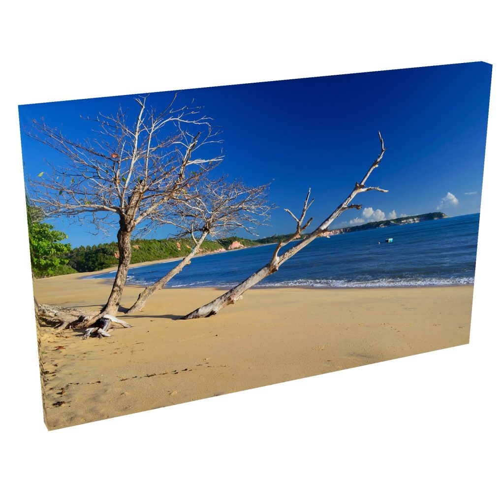 Quadro Decorativo Grande em Tela com Borda Infinita - Galhos