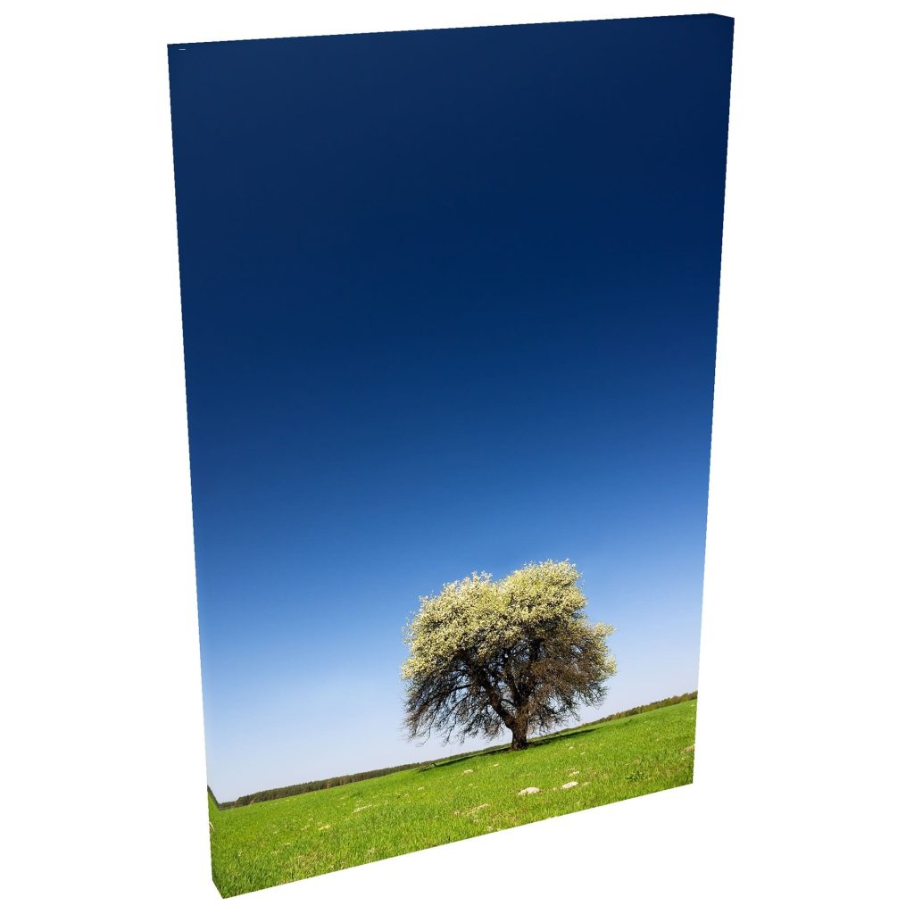Quadro Decorativo Grande em Tela com Borda Infinita Céu Aberto