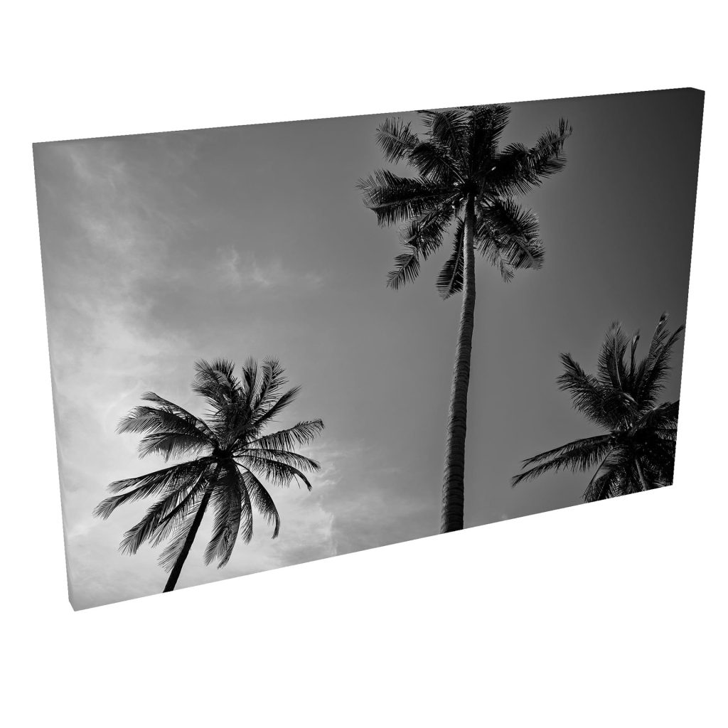 Quadro Decorativo Grande em Tela com Borda Infinita Palmeiras Black and White
